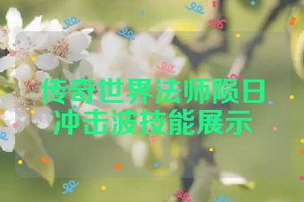 传奇世界法师陨日冲击波技能展示
