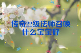 传奇22级法师召唤什么宝宝好