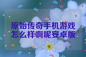 原始传奇手机游戏怎么样啊呢安卓版