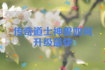 传奇道士神兽如何升级最快