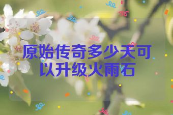 原始传奇多少天可以升级火雨石