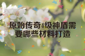 原始传奇4级神盾需要哪些材料打造