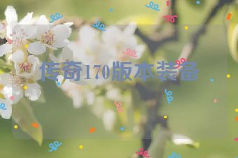传奇170版本装备