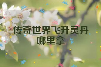 传奇世界飞升灵丹哪里拿