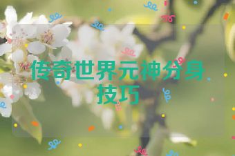 传奇世界元神分身技巧