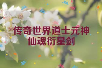 传奇世界道士元神仙魂衍星剑