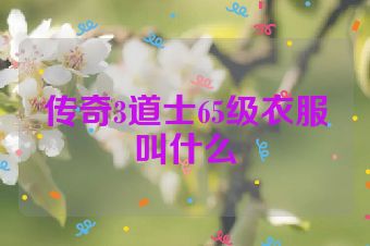 传奇3道士65级衣服叫什么