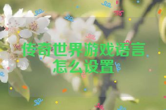 传奇世界游戏语言怎么设置