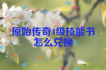 原始传奇4级技能书怎么兑换