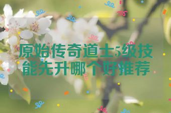 原始传奇道士5级技能先升哪个好推荐