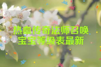 热血传奇法师召唤宝宝等级表最新