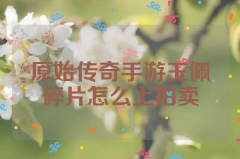 原始传奇手游玉佩碎片怎么上拍卖