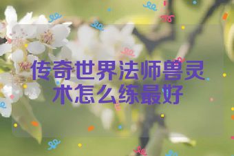传奇世界法师兽灵术怎么练最好