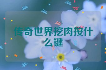 传奇世界挖肉按什么键