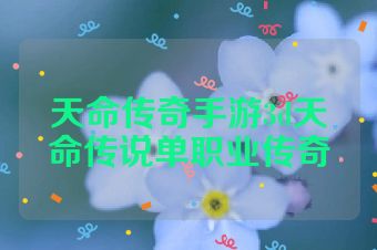 天命传奇手游3d天命传说单职业传奇