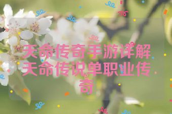 天命传奇手游详解天命传说单职业传奇