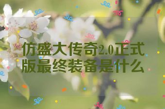 仿盛大传奇2.0正式版最终装备是什么