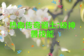 热血传奇道士7级神兽技能