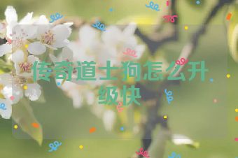 传奇道士狗怎么升级快
