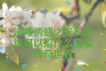法师诱惑之光多少级可以招什么宝宝传奇世界