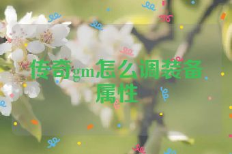 传奇gm怎么调装备属性
