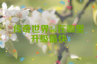 传奇世界3d在哪里升级最快