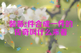 装备2件合成一件的传奇叫什么来着