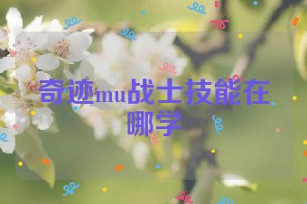 奇迹mu战士技能在哪学