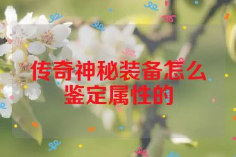 传奇神秘装备怎么鉴定属性的