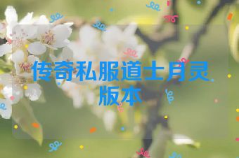传奇私服道士月灵版本