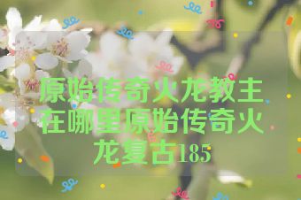 原始传奇火龙教主在哪里原始传奇火龙复古185