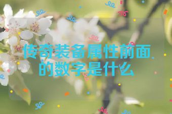 传奇装备属性前面的数字是什么