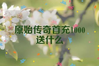 原始传奇首充1000送什么