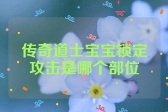 传奇道士宝宝锁定攻击是哪个部位