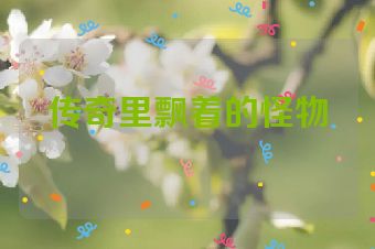 传奇里飘着的怪物