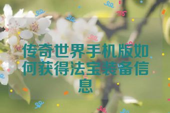 传奇世界手机版如何获得法宝装备信息