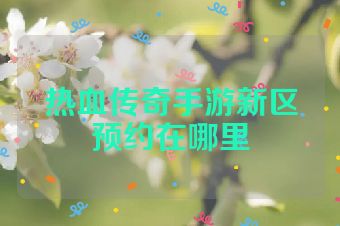 热血传奇手游新区预约在哪里