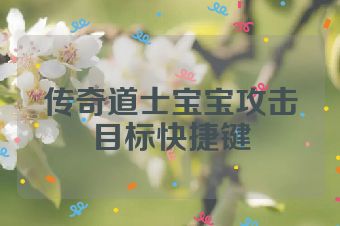 传奇道士宝宝攻击目标快捷键