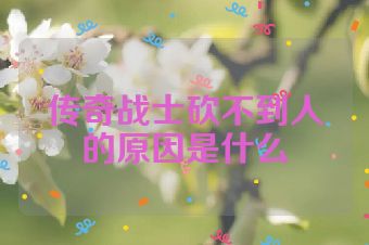 传奇战士砍不到人的原因是什么