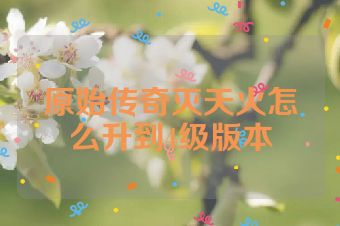 原始传奇灭天火怎么升到4级版本