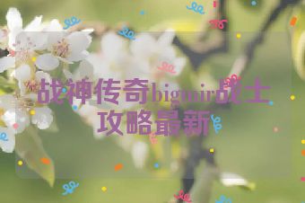 战神传奇bigmir战士攻略最新