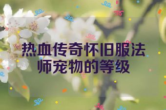 热血传奇怀旧服法师宠物的等级