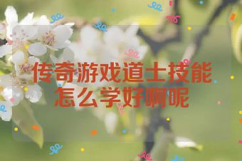 传奇游戏道士技能怎么学好啊呢