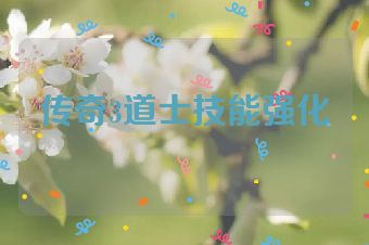 传奇3道士技能强化