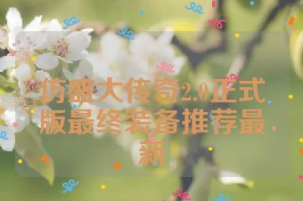 仿盛大传奇2.0正式版最终装备推荐最新
