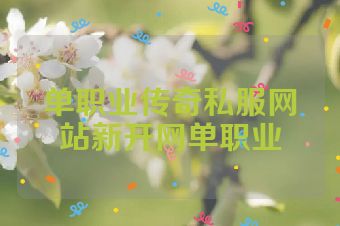 单职业传奇私服网站新开网单职业