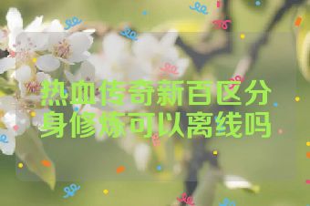 热血传奇新百区分身修炼可以离线吗