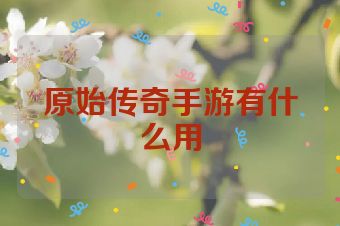 原始传奇手游有什么用