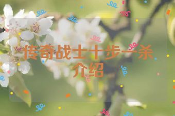 传奇战士十步一杀介绍