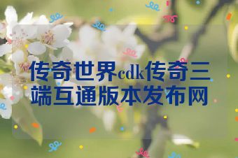 传奇世界cdk传奇三端互通版本发布网